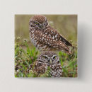 Recherche de adams badges Oiseau