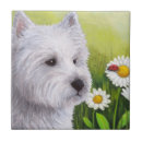 Recherche de westie carreaux Dog