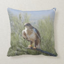 Suche nach raubvogel kissen Für ihn