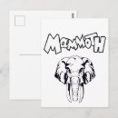 Recherche de mammifères cartes postales Éléphant