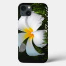Recherche de hawaï coques Plumeria