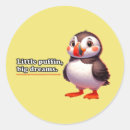 Suche nach papageientaucher Vogel