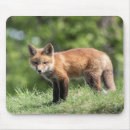 Suche nach fleisch fressende tiere mousepads Wild