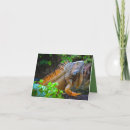 Recherche de zoo vœux cartes Photographie