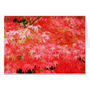 Suche nach kyoto postkarten Ahorn