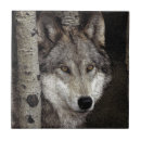 Suche nach grauer wolf fliesen Wölfe