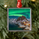 Suche nach nature ornamente Fotografie