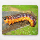 Suche nach moths mousepads Raupe