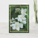 Suche nach jasmin karten Für sie