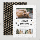 Suche nach christmas katze schwarz karten Foto