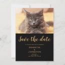 Suche nach cat wedding einladungen Modern