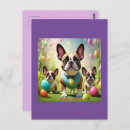 Suche nach bunte eier postkarten Ostereier