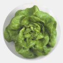 Suche nach salat aufkleber Frisch