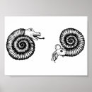 Suche nach fossil poster Tiere
