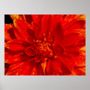 Suche nach haus und garten poster Gärten