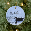 Suche nach enten ornamente See