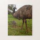 Recherche de poussins puzzles Faune