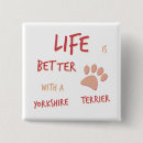 Suche nach yorkshire buttons Terrier