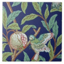 Recherche de petit oiseau carreaux Nature