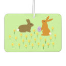 Recherche de oeufs voiture accessoires Lapin