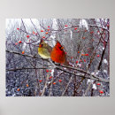 Recherche de forêt posters Noël