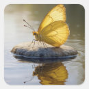 Suche nach wasser aufkleber Schmetterling