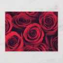 Suche nach rote rose postkarten Romantik