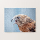 Suche nach raubvogel puzzle Vogelbeobachtung