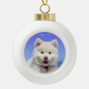 Suche nach samoyed ornamente Niedlich