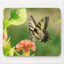 Recherche de oriental tapis souris Nature