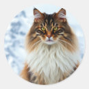 Suche nach maine coon aufkleber Flüssig