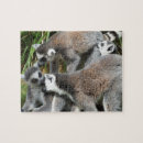 Recherche de anneau puzzles Faune