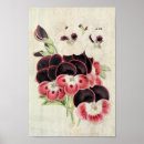 Suche nach bescheidenheit poster Blume