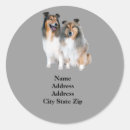 Recherche de chien colley autocollants Collier