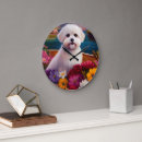 Recherche de maltais horloges Dog