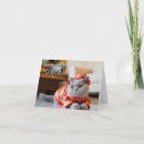 Recherche de cny Nouveau