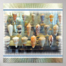 Suche nach muscheln poster Seashell