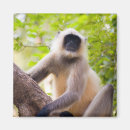 Recherche de bills refrigérateur magnets Animal