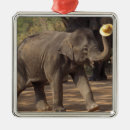 Suche nach thai ornamente Elefant