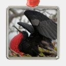 Recherche de superbe ornements Oiseau