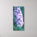 Recherche de buddleia posters Fleurs