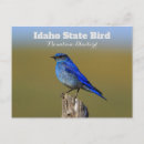 Recherche de idaho cartes postales Sauvage