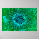 Suche nach polymere poster Mikrobiologie