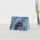 Recherche de problème photographie Aigle