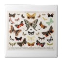 Recherche de bouteilles carreaux Tuiles