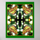 Suche nach schmetterlings poster Tier