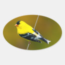 Suche nach goldschmiede aufkleber Goldfinch