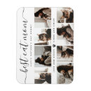 Recherche de chats magnets Maman de chat