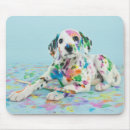 Recherche de dalmatiens tapis souris Photographie