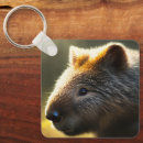 Recherche de wombat porteclés Australien